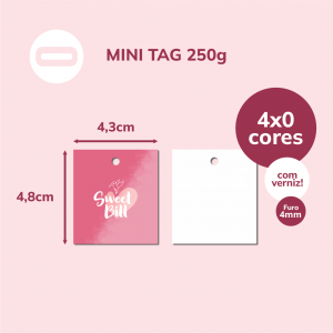 Mini Tag Papel Cartão 250g/m² 4,3x4,8 cm 4x0 Verniz Total Brilho Frente Corte Reto / Furo de 4mm 